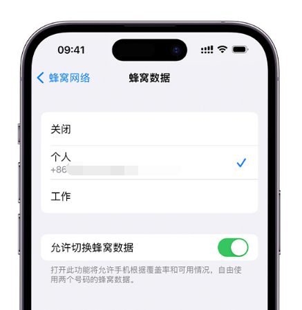 荔城苹果维修服务分享如何在iPhone上使用双卡 